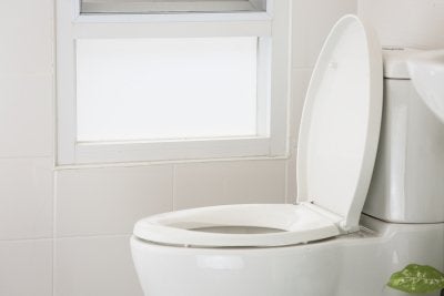 Eco-Friendly Toilet Installation in Jacksonville, FL