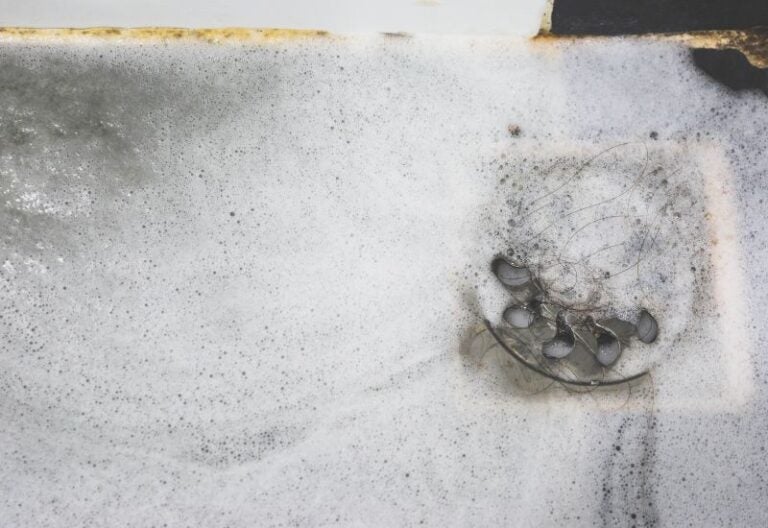 How to Prevent a Clogged Shower Drain?