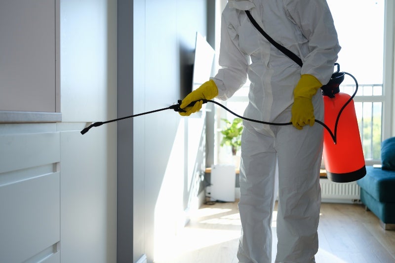 Technician spraying for mold remediation in Jacksonville, FL
